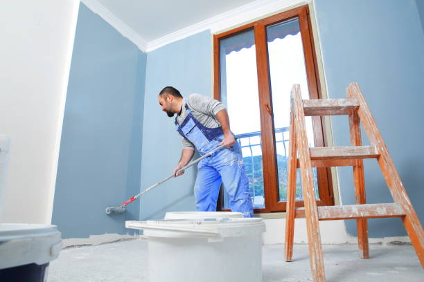 Reliable Sheridan, CO Mold Removal Solutions