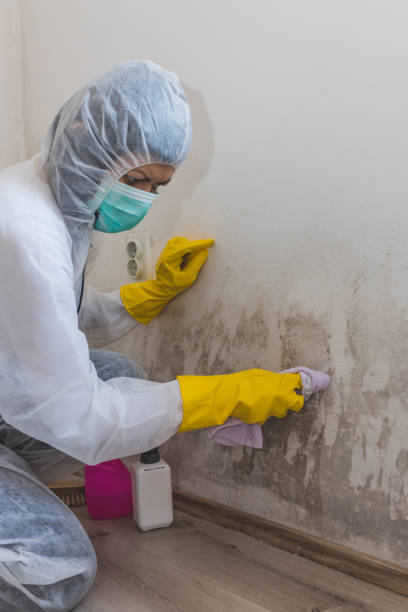 Best Residential Mold Inspection & Testing  in Sheridan, CO