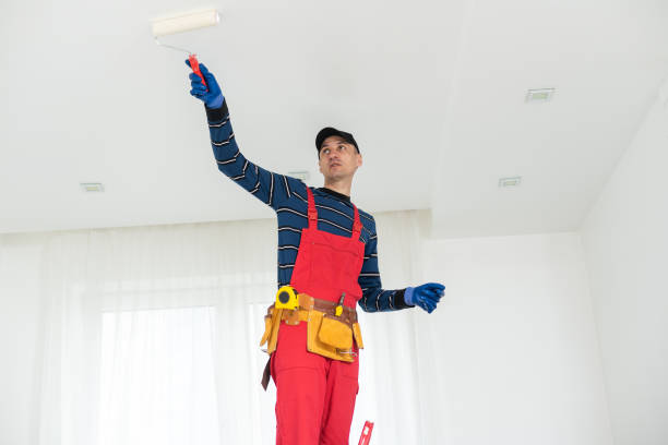 Best Post-Construction Mold Inspection  in Sheridan, CO