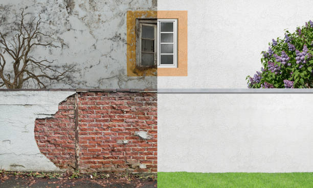 Best Real Estate Mold Inspection  in Sheridan, CO