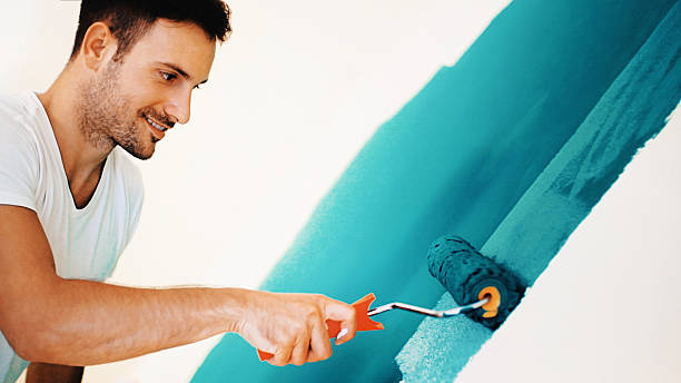 Best Mold Removal for HVAC Installations  in Sheridan, CO